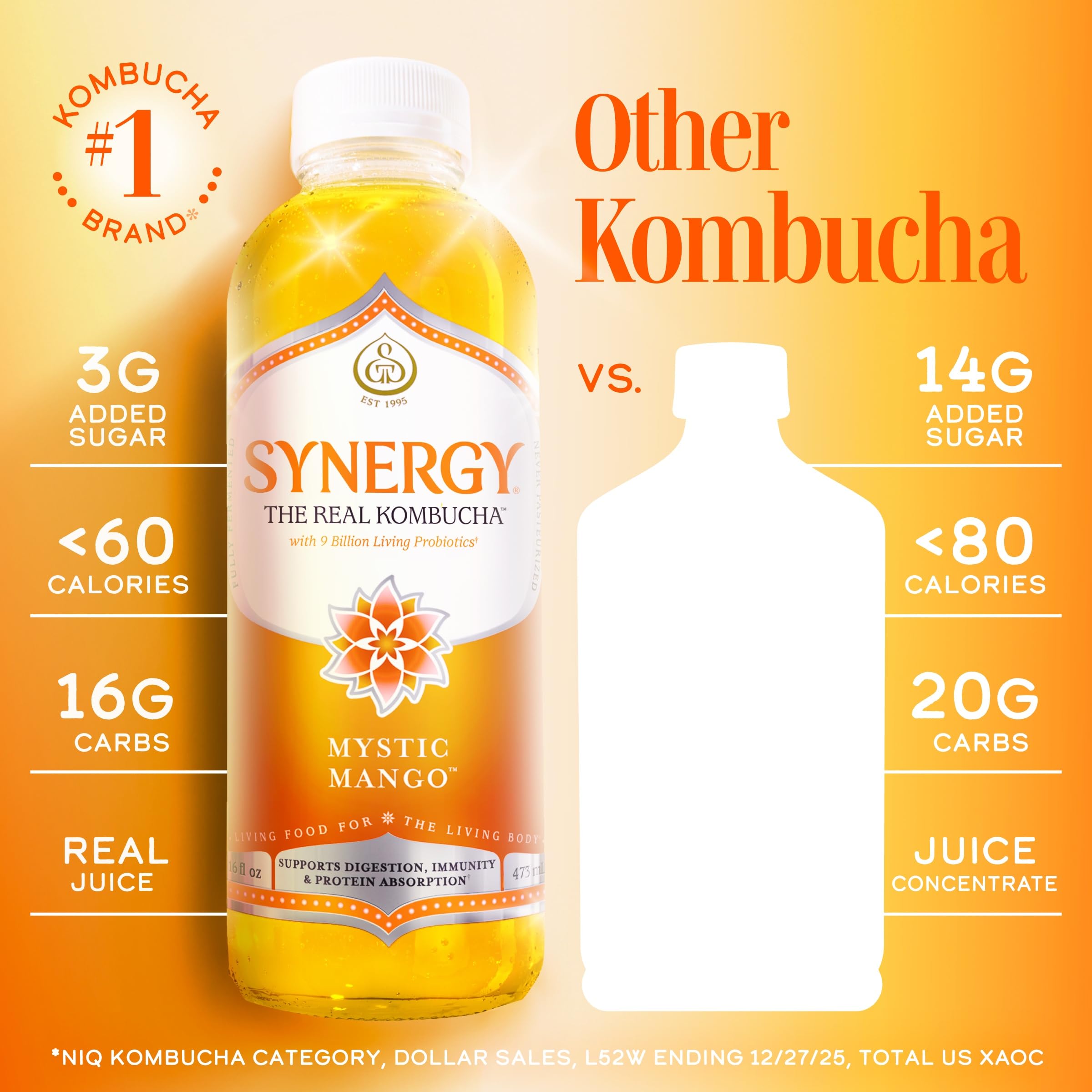 Amazon.com: SYNERGY The Real Kombucha - Mystic Mango - 16 fl oz